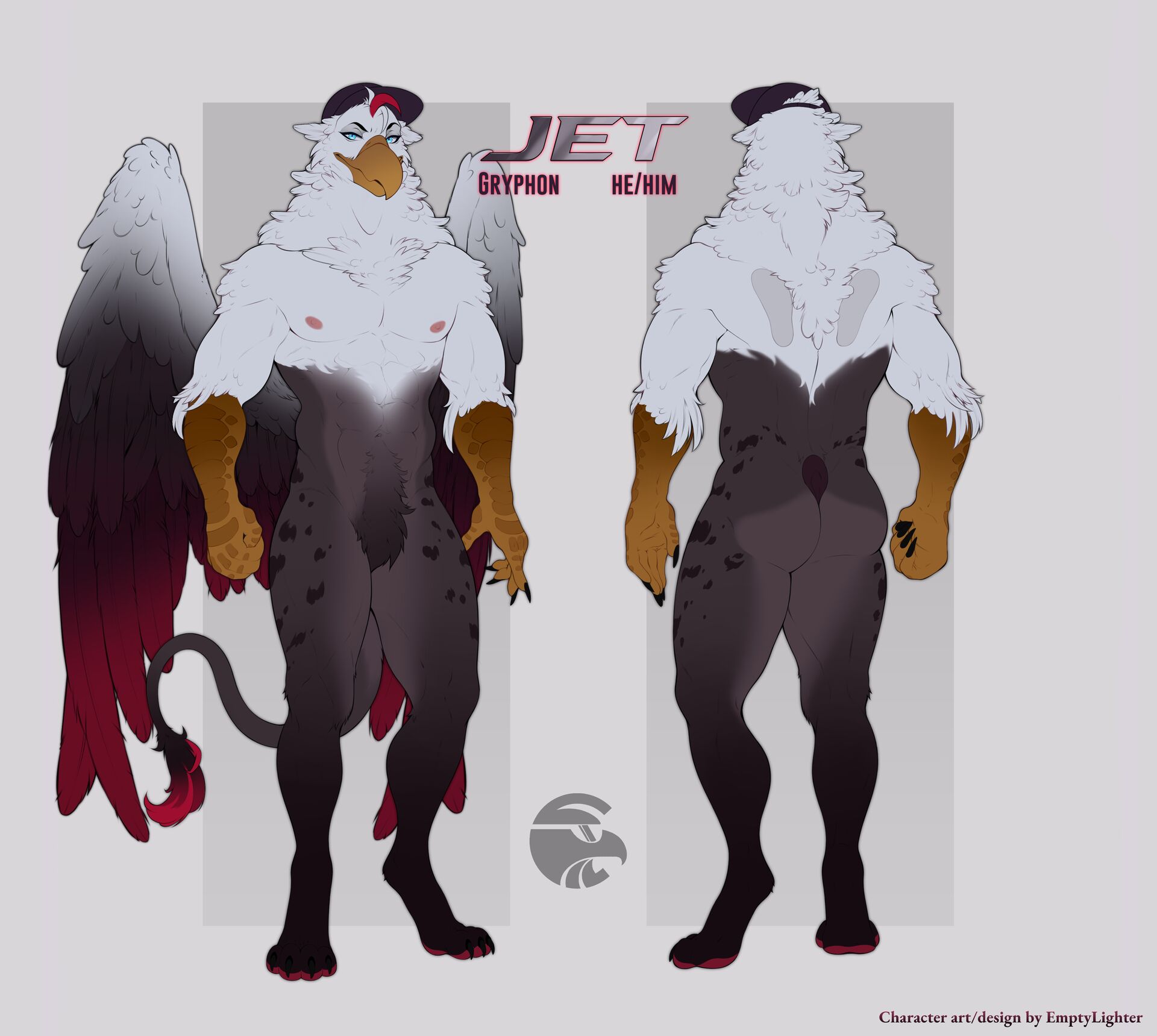 Jet reference sheet
